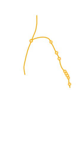 経絡図